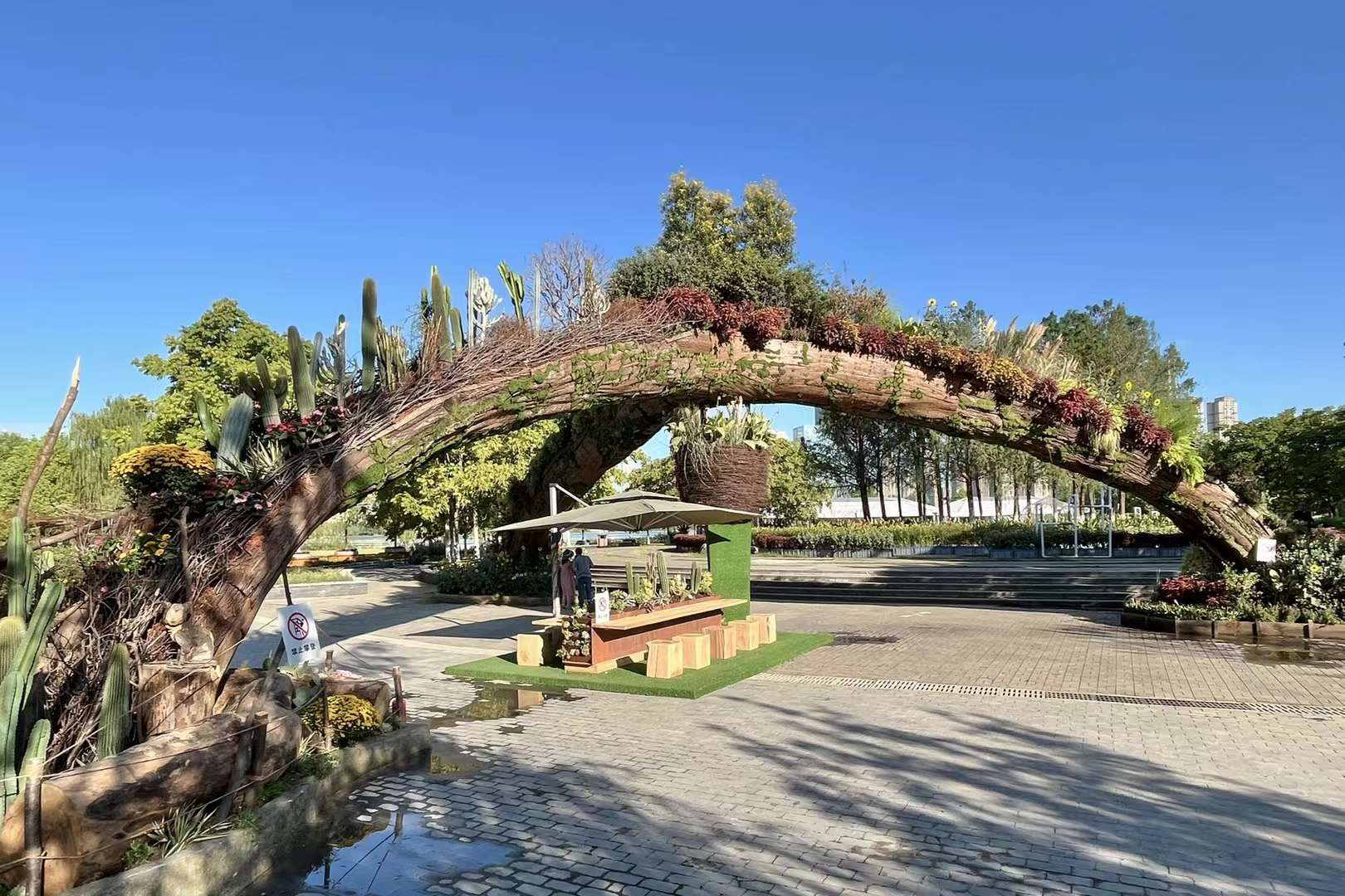 沙湖公園濕地藝術園（武漢市武昌區沙湖公園C區）